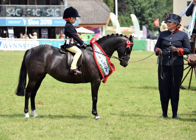 Royal Welsh Show 2019 - WPCS