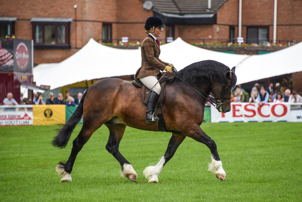 Royal Welsh Show 2019 - WPCS