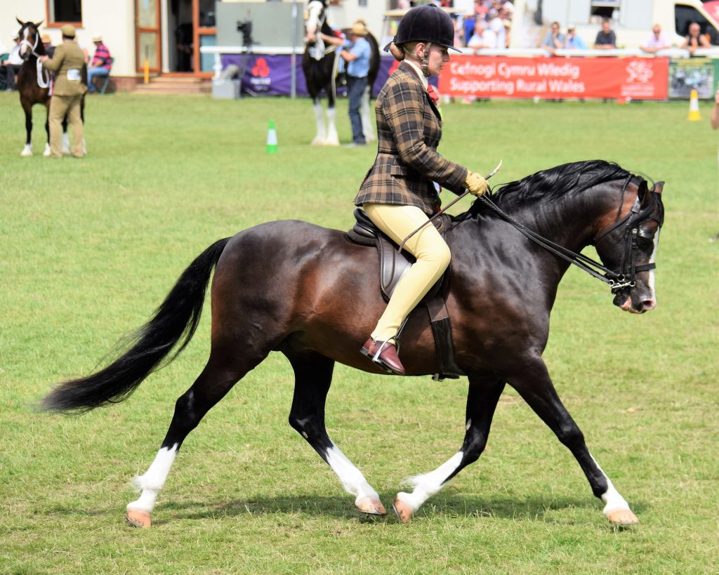 Royal Welsh Show 2019 - WPCS