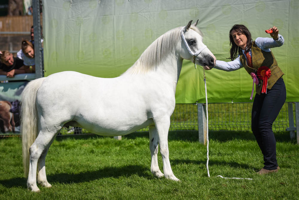 Royal Welsh Show 2019 - WPCS