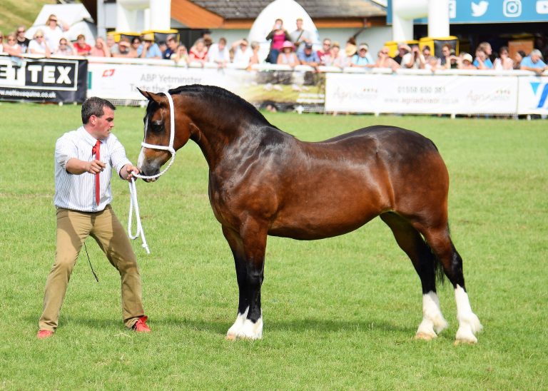 Royal Welsh Show 2019 - WPCS