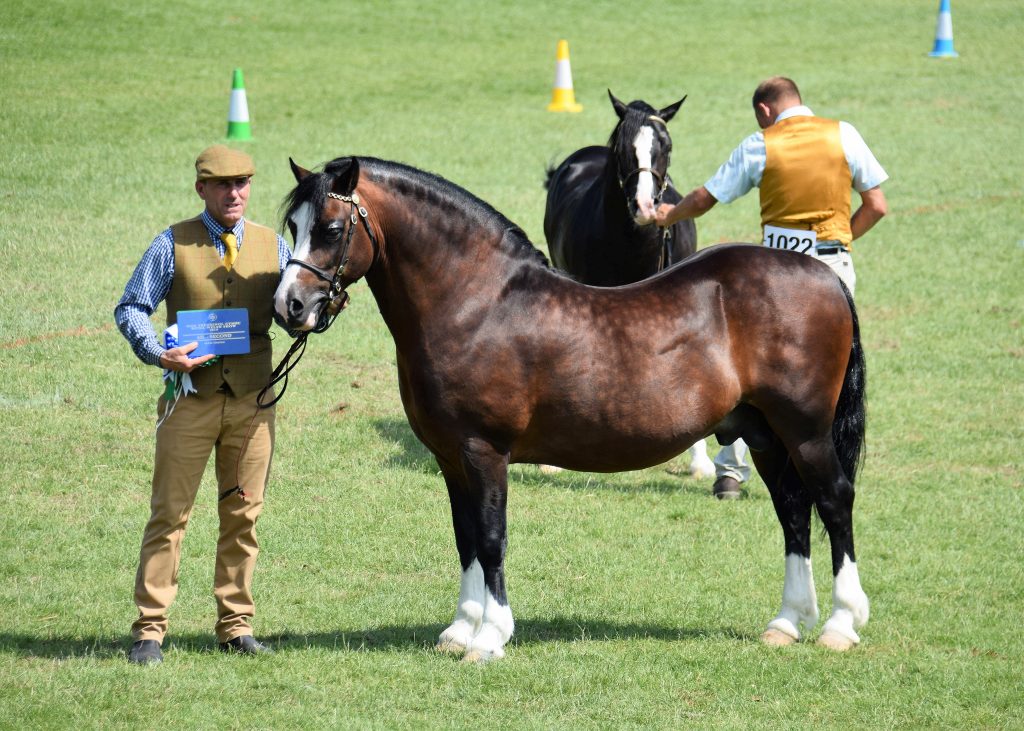 Royal Welsh Show 2019 - WPCS