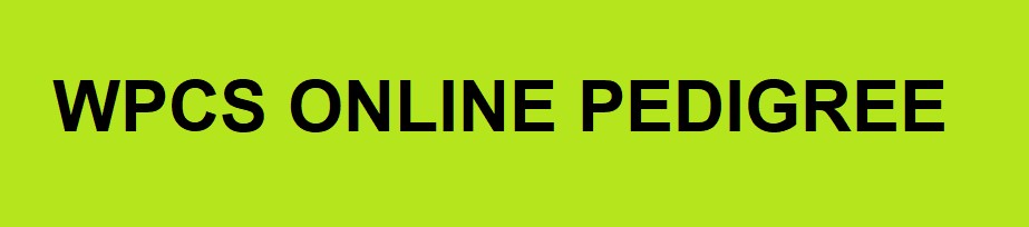 Online pedigre outlet